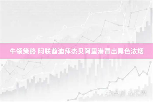 牛领策略 阿联酋迪拜杰贝阿里港冒出黑色浓烟