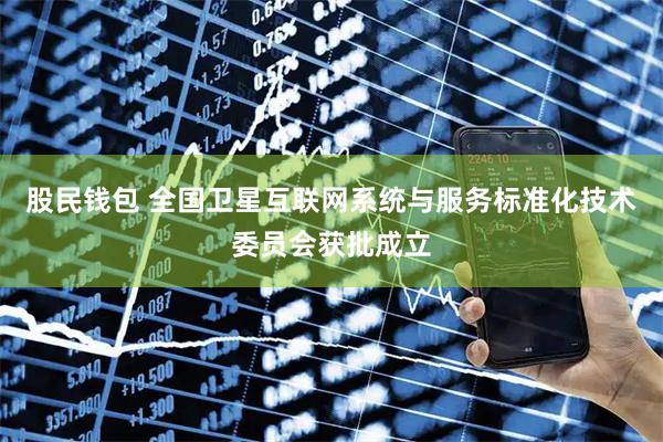 股民钱包 全国卫星互联网系统与服务标准化技术委员会获批成立