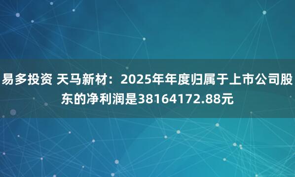 易多投资 天马新材：2025年年度归属于上市公司股东的净利润是38164172.88元