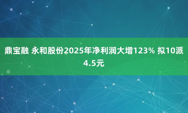 鼎宝融 永和股份2025年净利润大增123% 拟10派4.5元