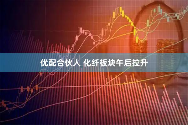 优配合伙人 化纤板块午后拉升