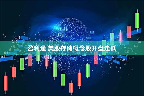 盈利通 美股存储概念股开盘走低