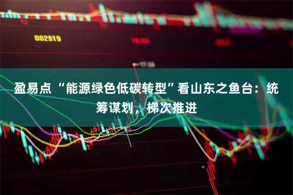 盈易点 “能源绿色低碳转型”看山东之鱼台：统筹谋划，梯次推进
