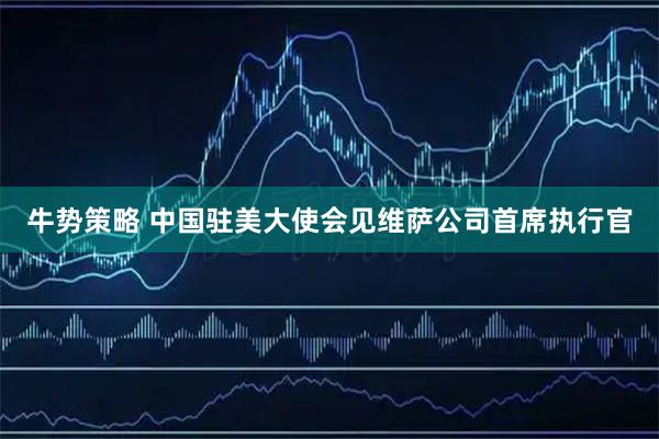 牛势策略 中国驻美大使会见维萨公司首席执行官