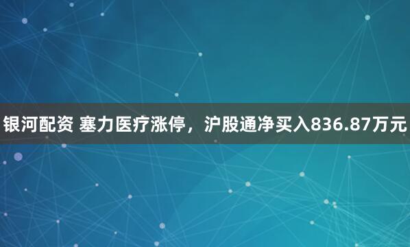 银河配资 塞力医疗涨停，沪股通净买入836.87万元