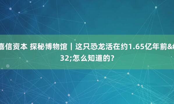 嘉信资本 探秘博物馆｜这只恐龙活在约1.65亿年前 怎么知道的？