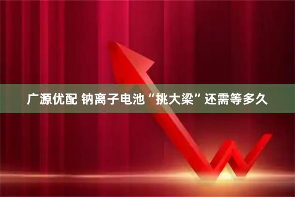广源优配 钠离子电池“挑大梁”还需等多久