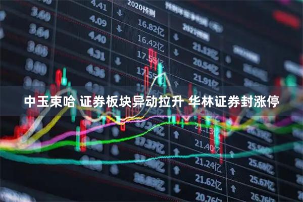 中玉束哈 证券板块异动拉升 华林证券封涨停