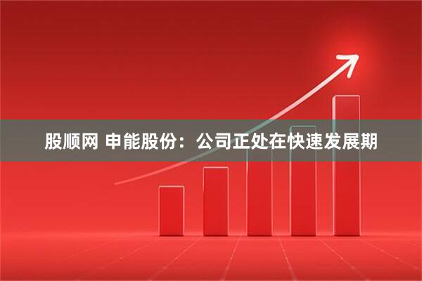 股顺网 申能股份：公司正处在快速发展期