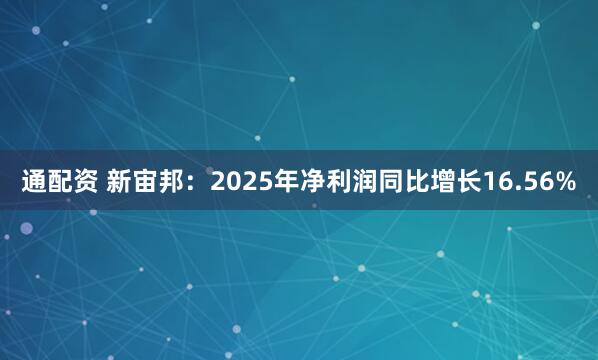 通配资 新宙邦：2025年净利润同比增长16.56%