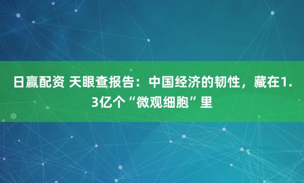 日赢配资 天眼查报告：中国经济的韧性，藏在1.3亿个“微观细胞”里