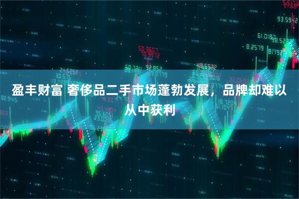 盈丰财富 奢侈品二手市场蓬勃发展，品牌却难以从中获利