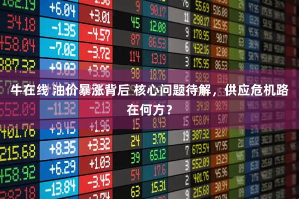牛在线 油价暴涨背后 核心问题待解，供应危机路在何方？