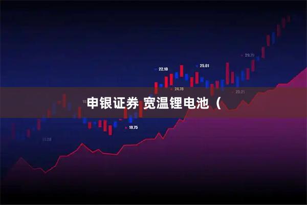 申银证券 宽温锂电池（