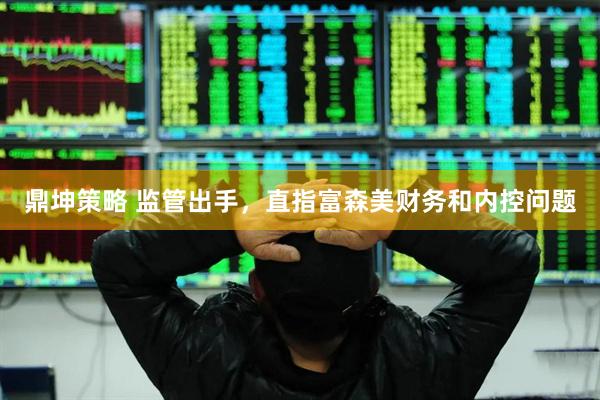 鼎坤策略 监管出手，直指富森美财务和内控问题