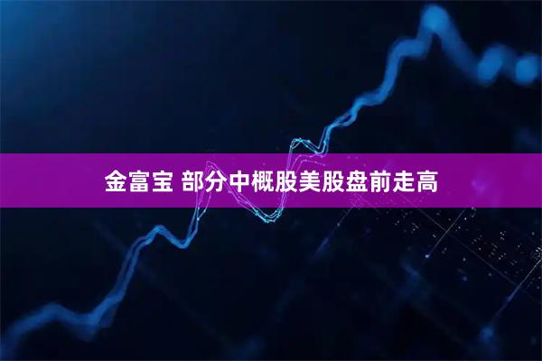 金富宝 部分中概股美股盘前走高
