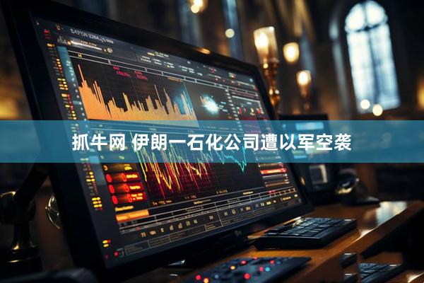 抓牛网 伊朗一石化公司遭以军空袭