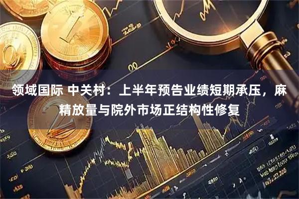 领域国际 中关村：上半年预告业绩短期承压，麻精放量与院外市场正结构性修复