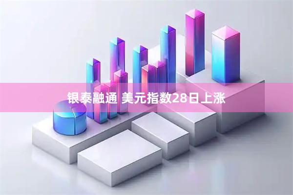 银泰融通 美元指数28日上涨